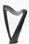 Musical Instrument Black 22 String Lever Harp Celtic Irish Style Carrying Bag Strings and Tuner