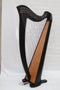 Musical Instrument Black 36 String Lever Harp Celtic Irish Style Carrying Bag Strings and Tuner
