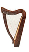 22 String Lever Harp Celtic Irish Style Solid wood free Carrying Bag strings and Tuner